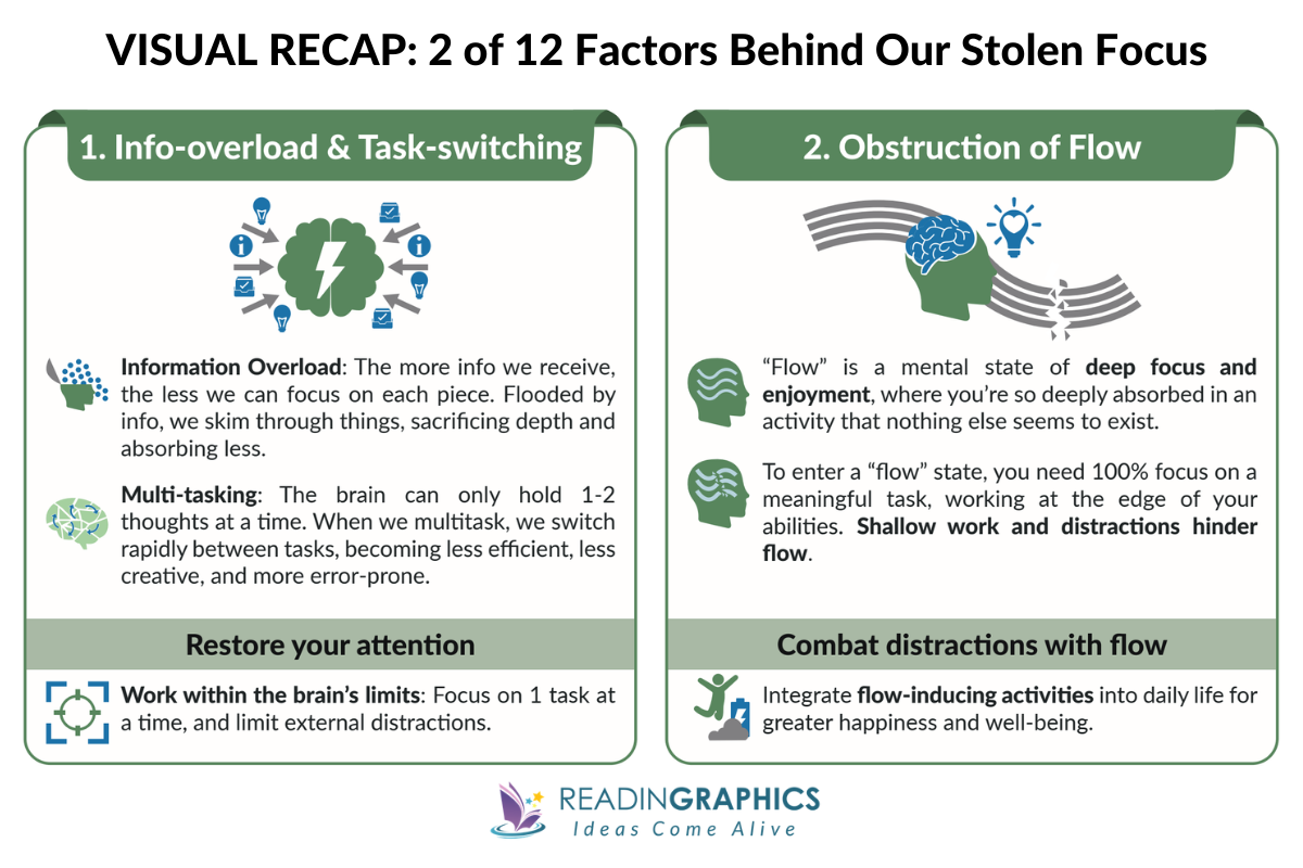Stolen Focus summary - visual outline of first 2 factors