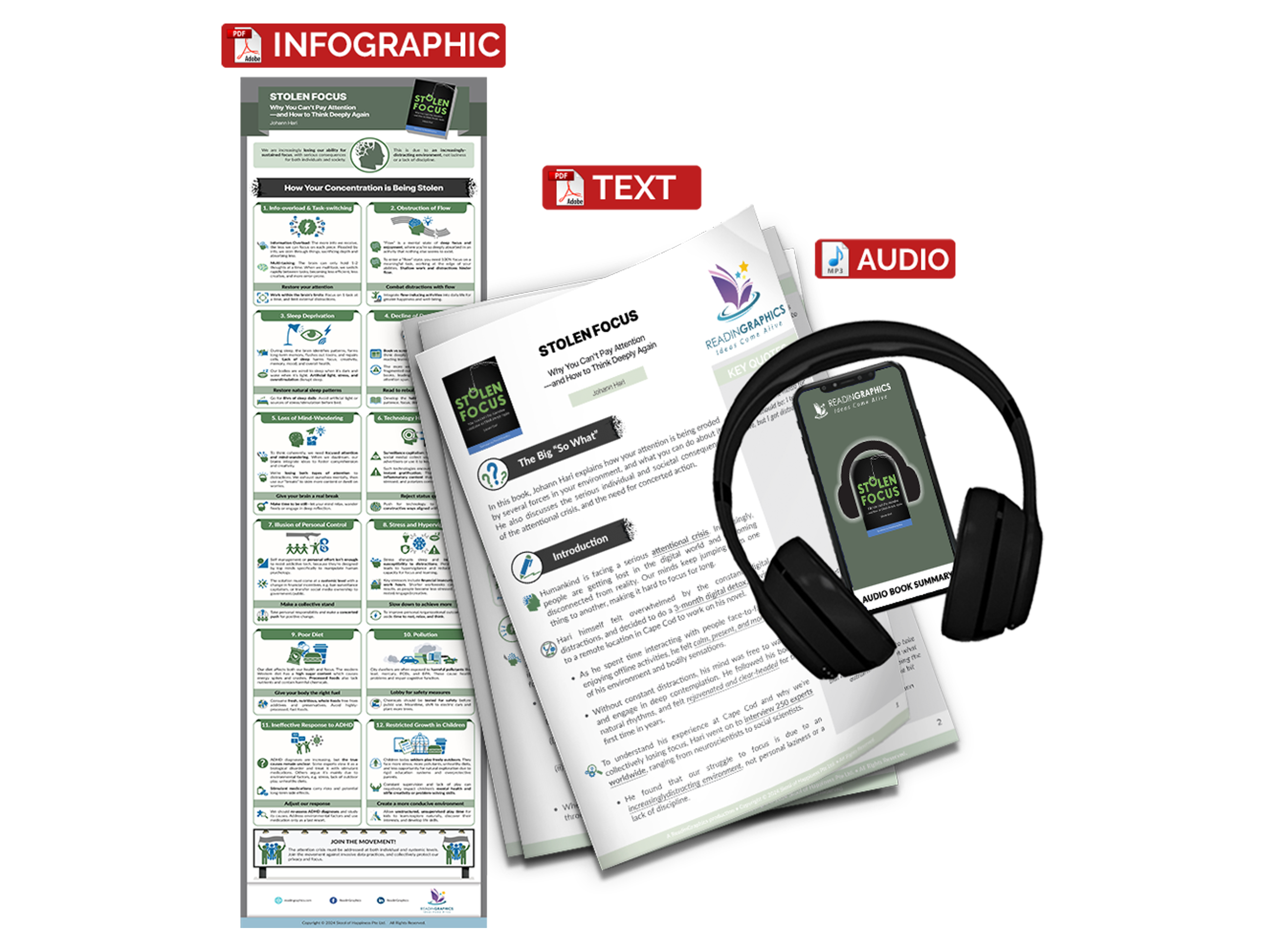 Stolen Focus summary - Book Summary Bundle