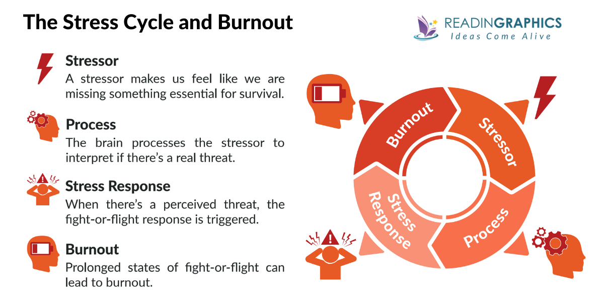 Managing Employee Burnout summary - Understanding the stress cycle and burnout