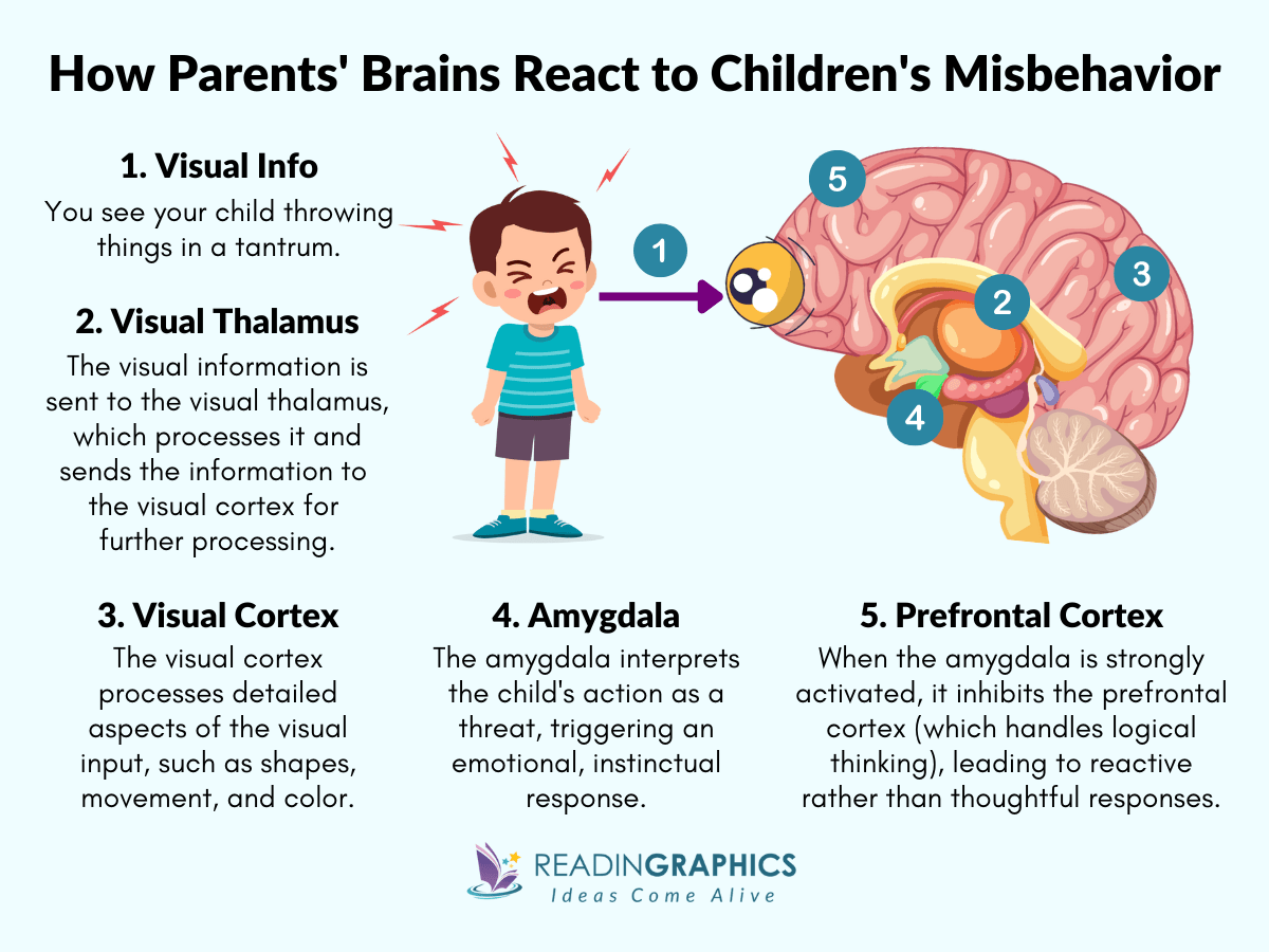 Raising Good Humans summary - How parents' brains react to children's misbehavior