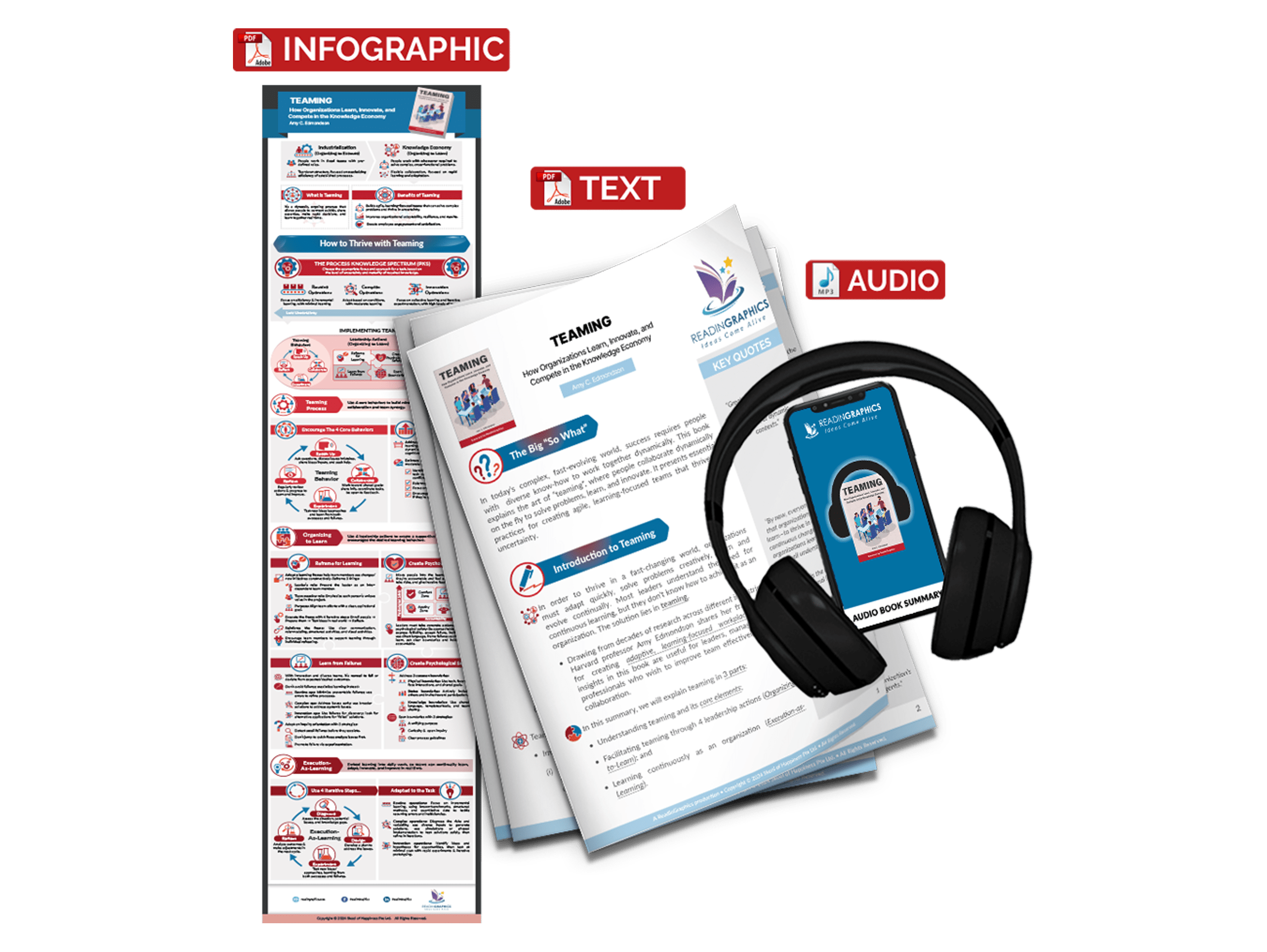 Teaming summary - Book Summary Bundle