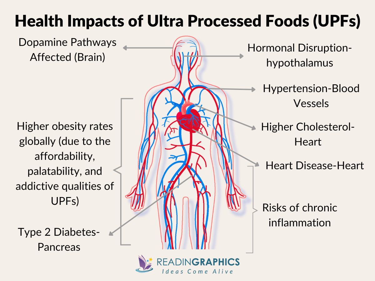 Ultra-Processed People summary - Health Impact of Ultra-Processed Foods (UPFs)