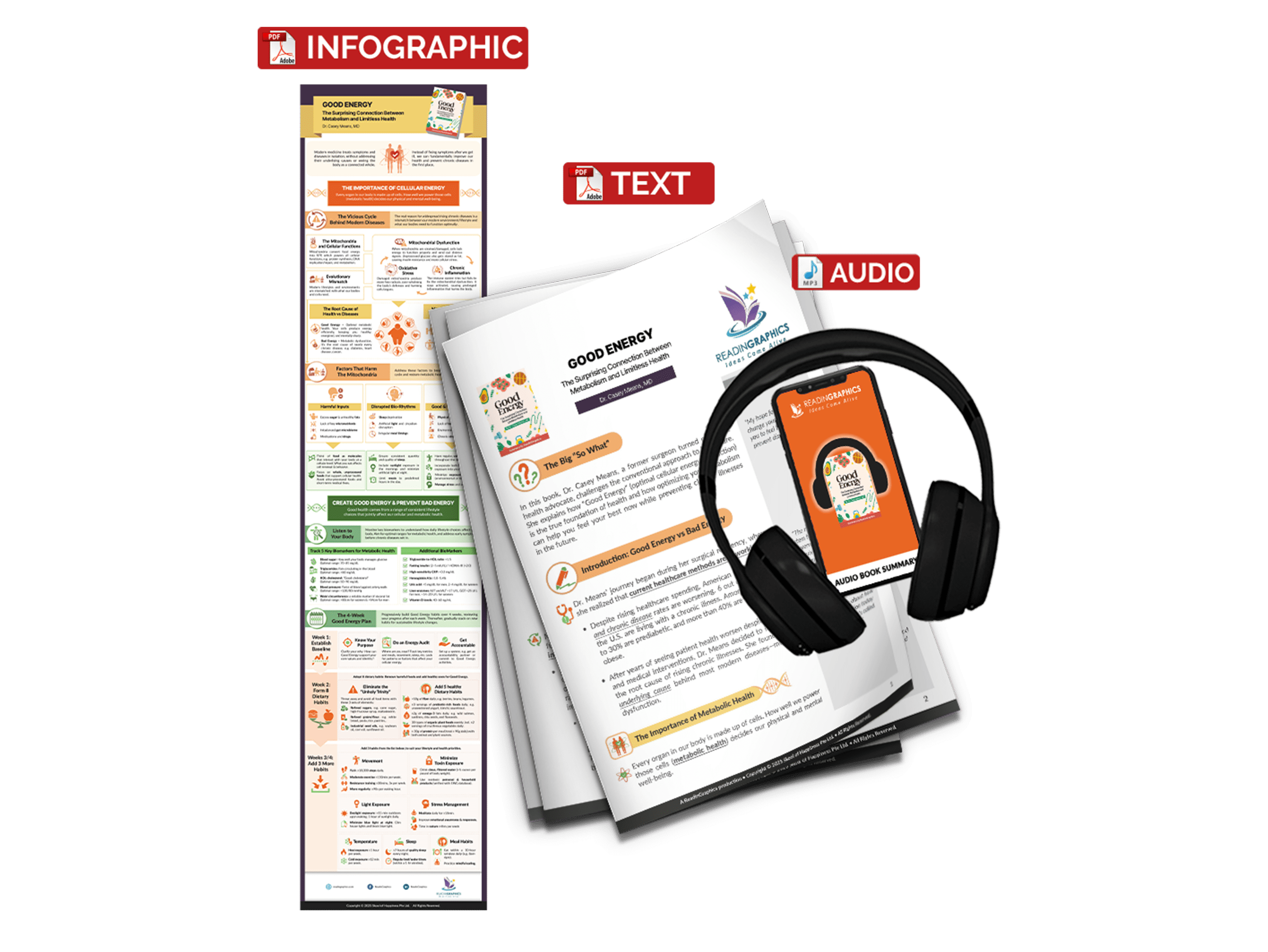 Good Energy summary - Book Summary Bundle