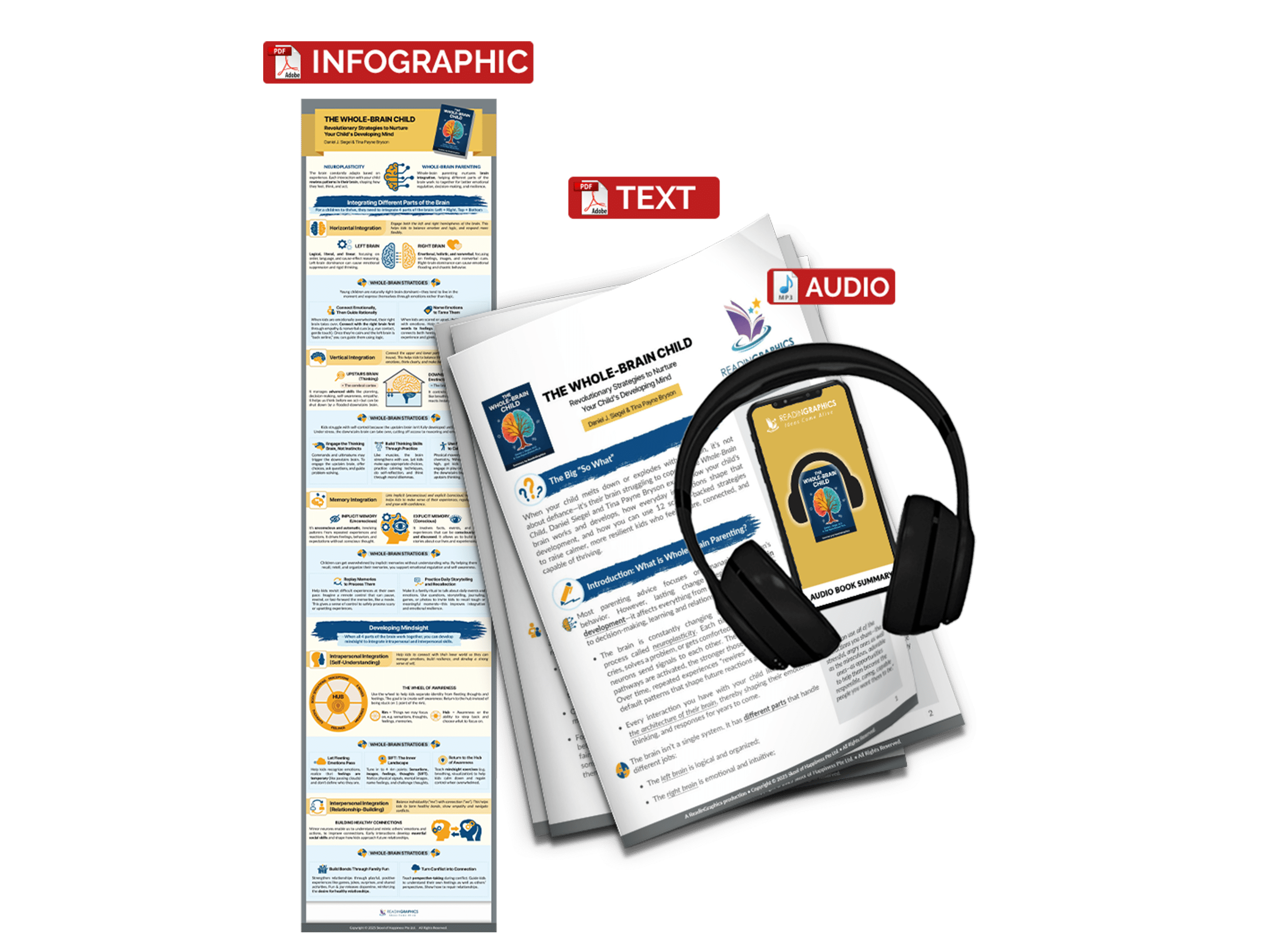 The Whole-Brain Child summary - Book Summary Bundle