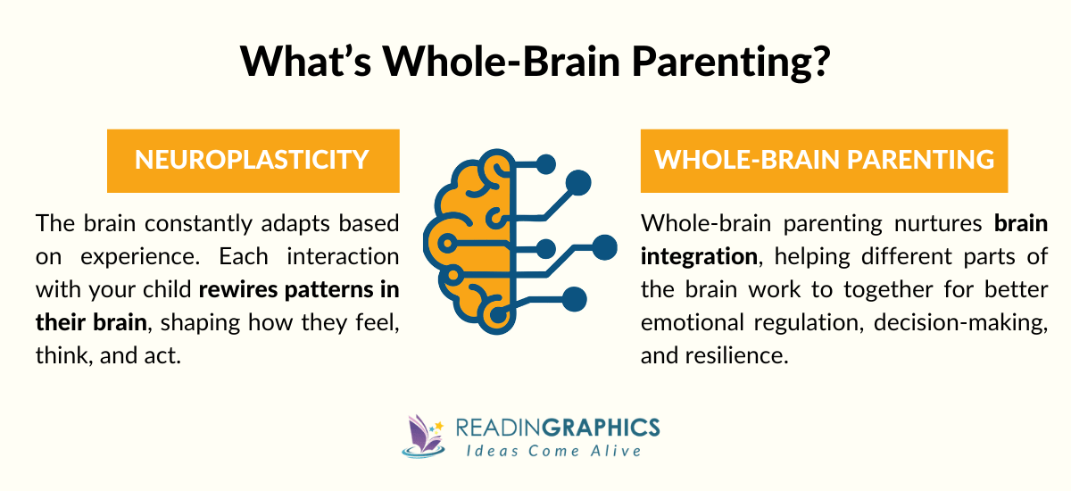 The Whole Brain Child summary - What is the whole brain child?