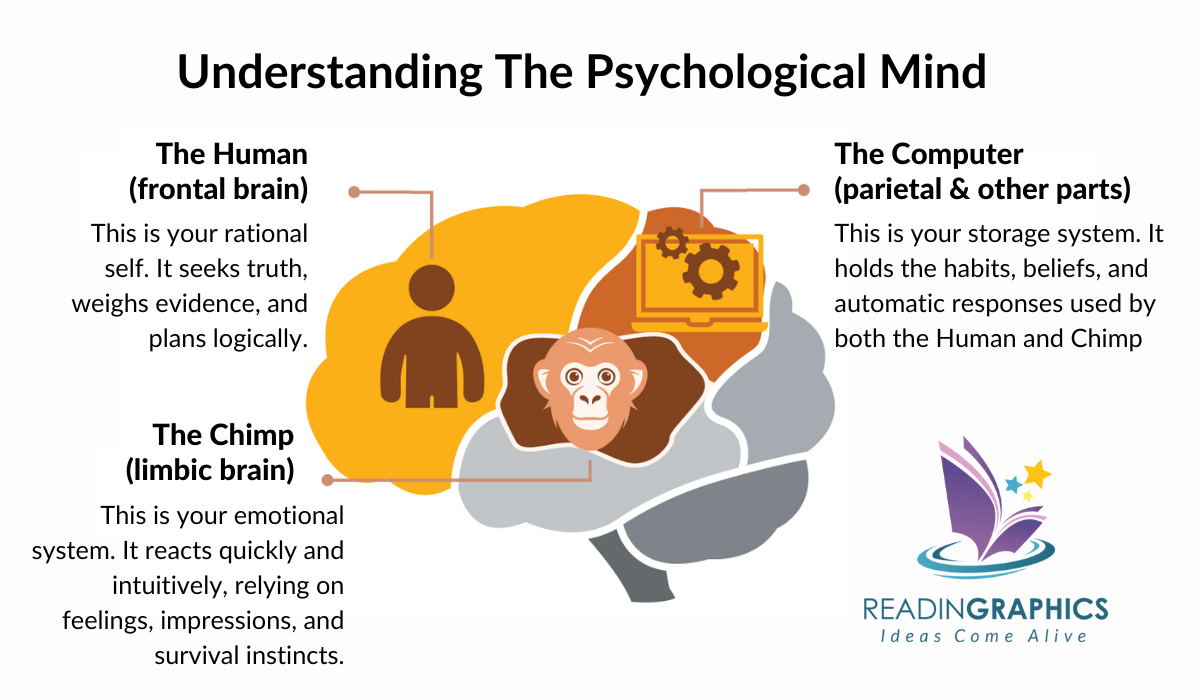 The Chimp Paradox summary - What is the Chimp, the Human, and the Computer in Mind Management Model